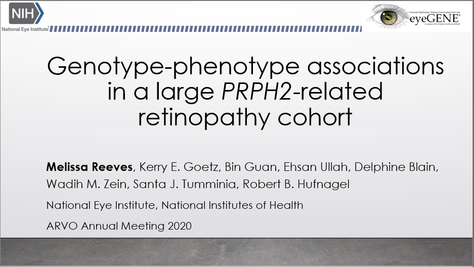 Melissa Reeves, Kerry E. Goetz, Bin Guan, Ehsan Ullah, Delphine Blain, Wadih M. Zein, Santa J. Tumminia, Robert B. Hufnagel. Genotype-phenotype associations in a large PRPH2-related retinopathy cohort. ARVO Annual Meeting 2020.